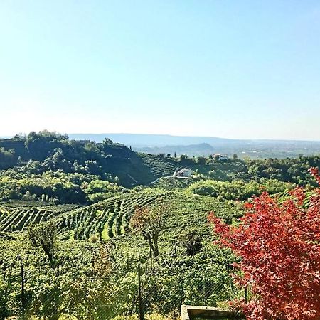 Relax Nelle Colline Del Prosecco Διαμέρισμα Pederobba Εξωτερικό φωτογραφία
