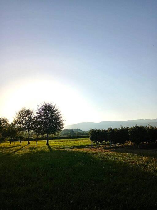 Relax Nelle Colline Del Prosecco Διαμέρισμα Pederobba Εξωτερικό φωτογραφία